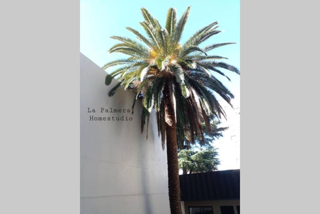 La Palmera Homestudio. Hermoso Apartamento En El Corazon De Palermo Hollywood Buenos Aires Buitenkant foto